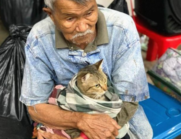 The storm evacuation scene, grandpa hugged his cat tightly, the picture was too warm
